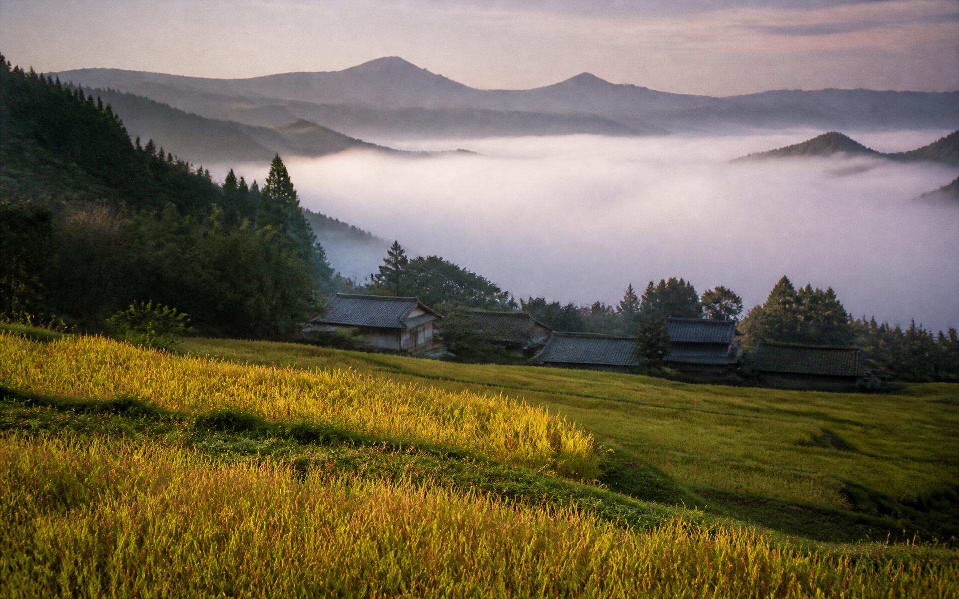 Kyoto & Shiga — misty satoyama valley at dawn