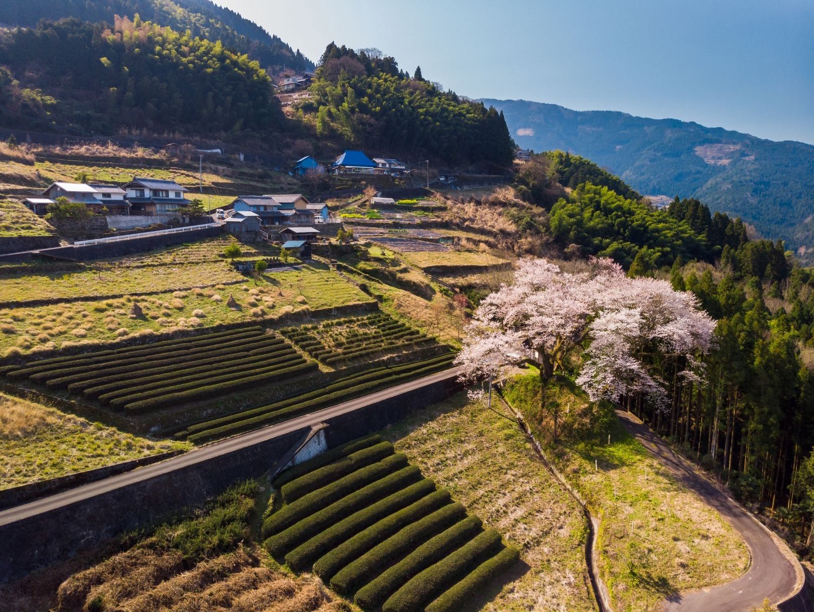 Terraced fields and a mountain village in bloom above the valley