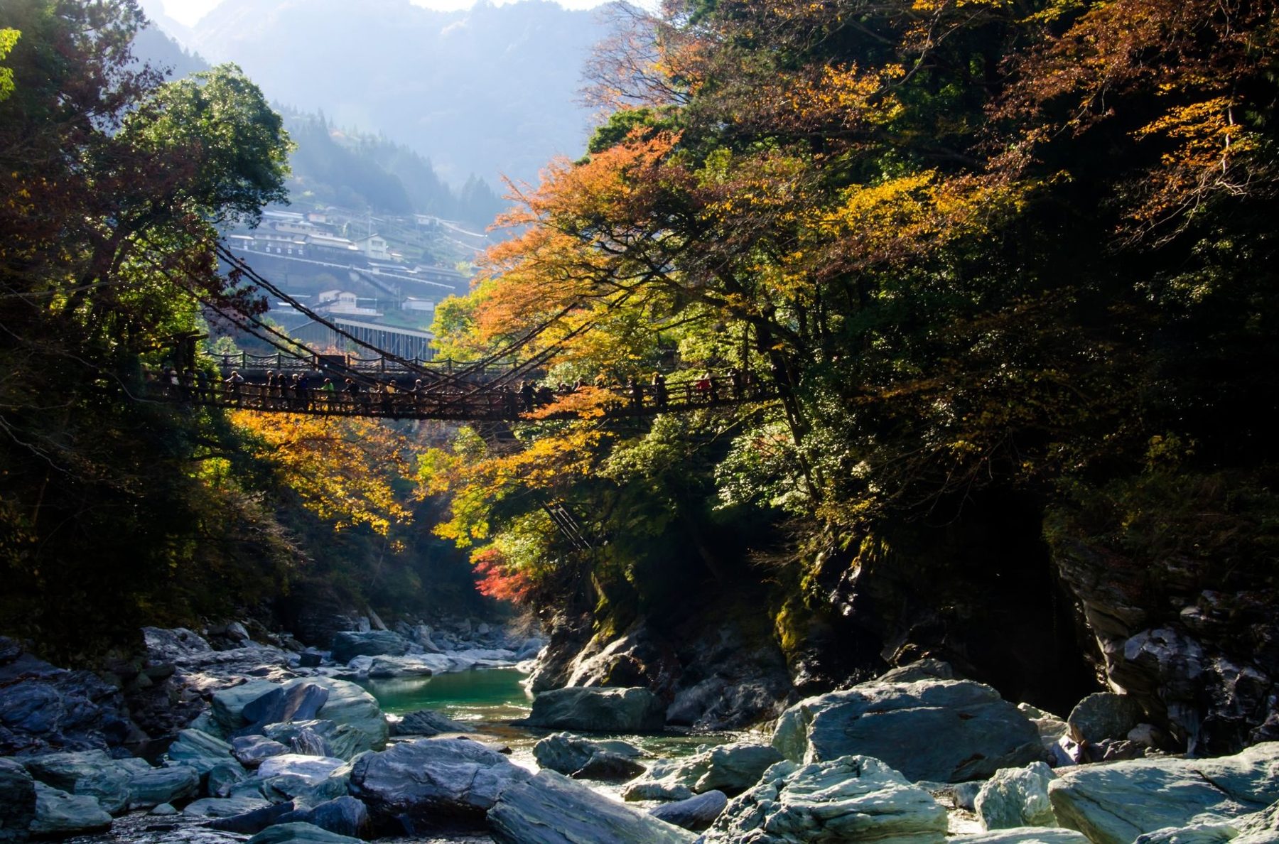 A vine bridge across a deep river gorge in the Iya valley, Tokushima
