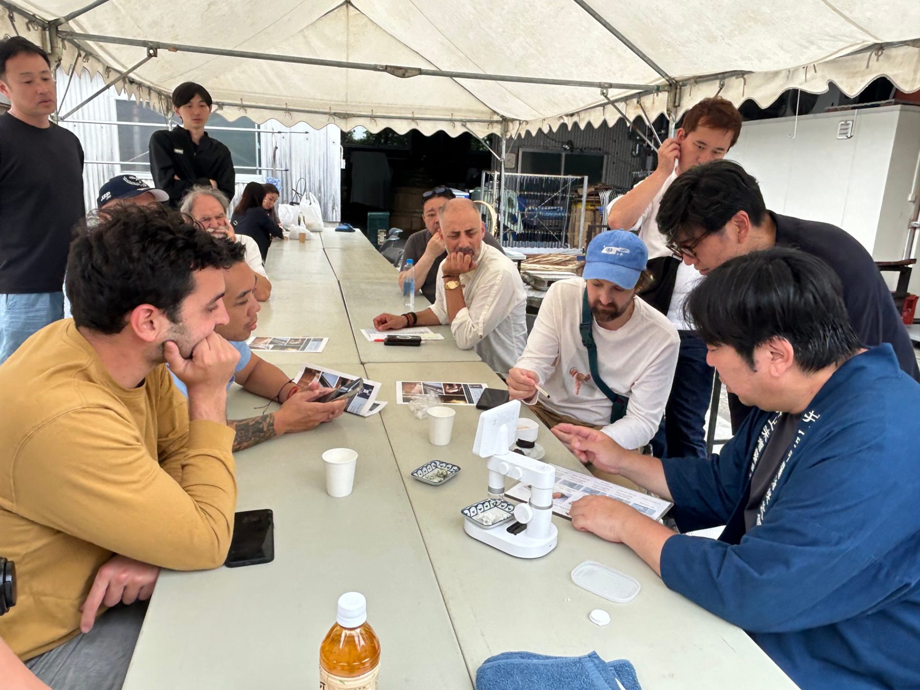Participants gathered around a long table under a white canopy examining produce