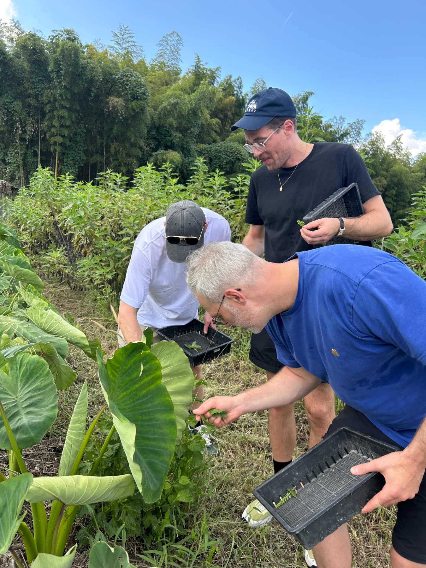Three people inspecting vegetables together during a farm visit in the valley