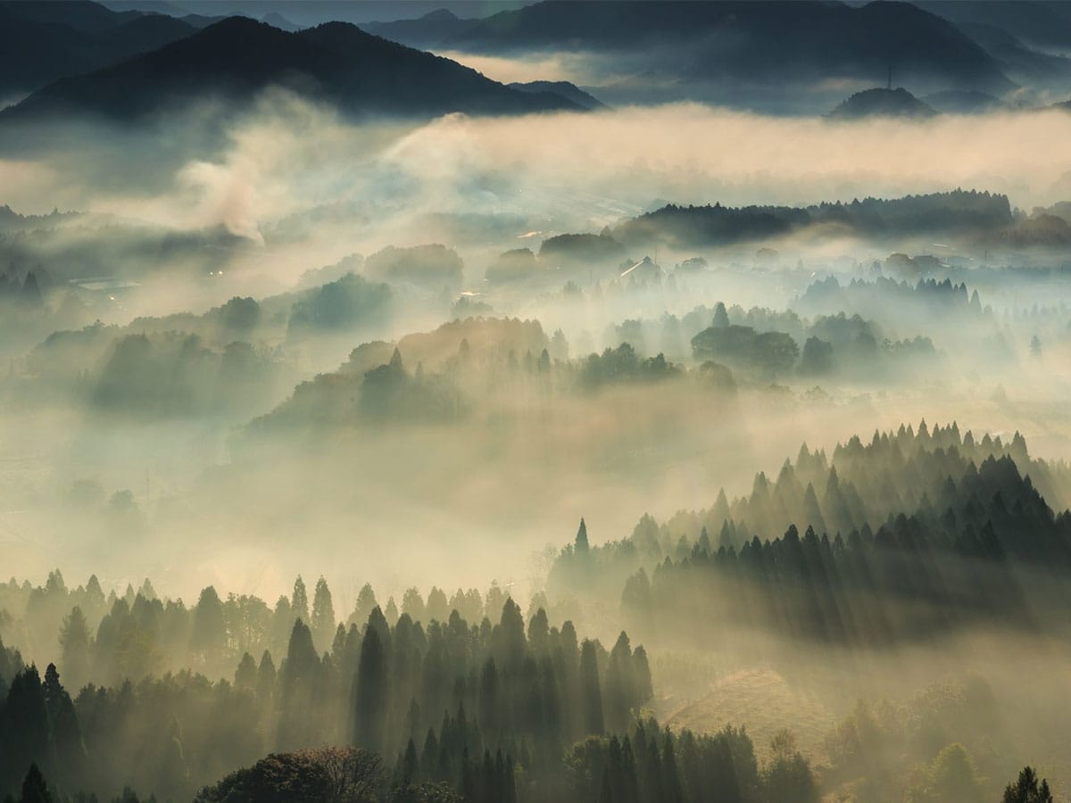 Morning fog drifting over the forested hills around Kameoka