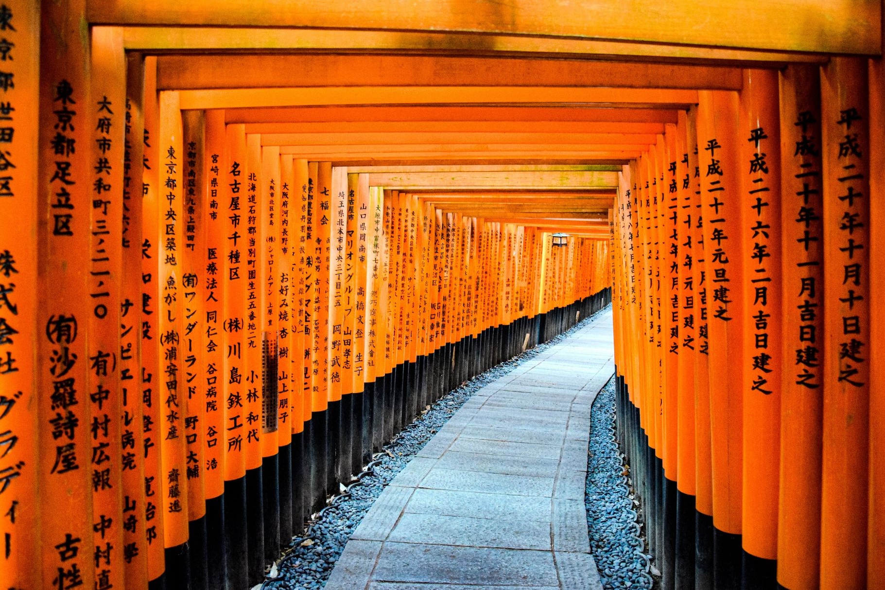 A path running through a tunnel of vermilion torii gates at a Kyoto shrine