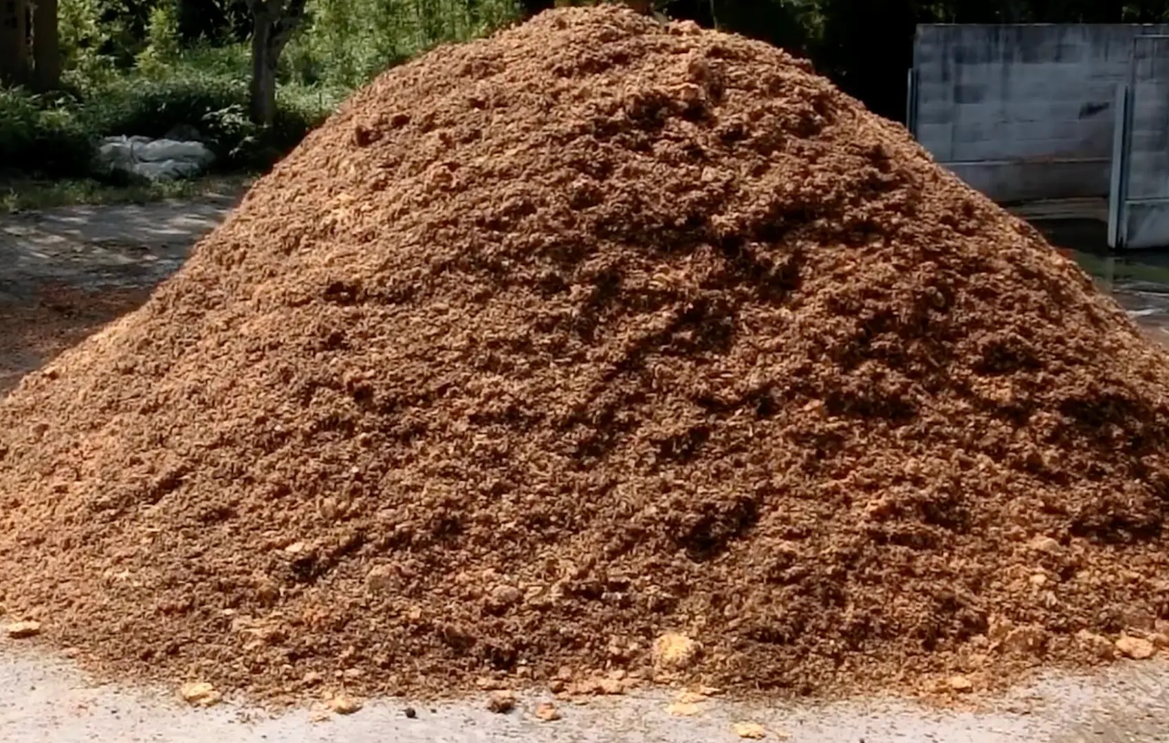 A large mound of fermenting compost at the Shimamoto Microbial Farming Method research farm