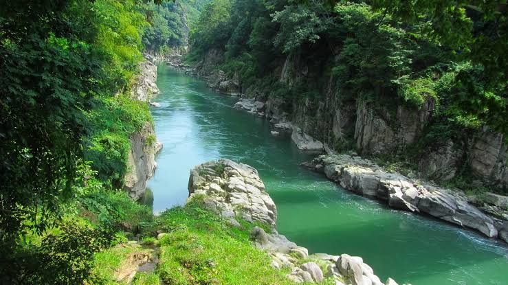 Emerald river running through a forested gorge